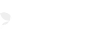 Evolution logo, live games at Elite Spin Casino